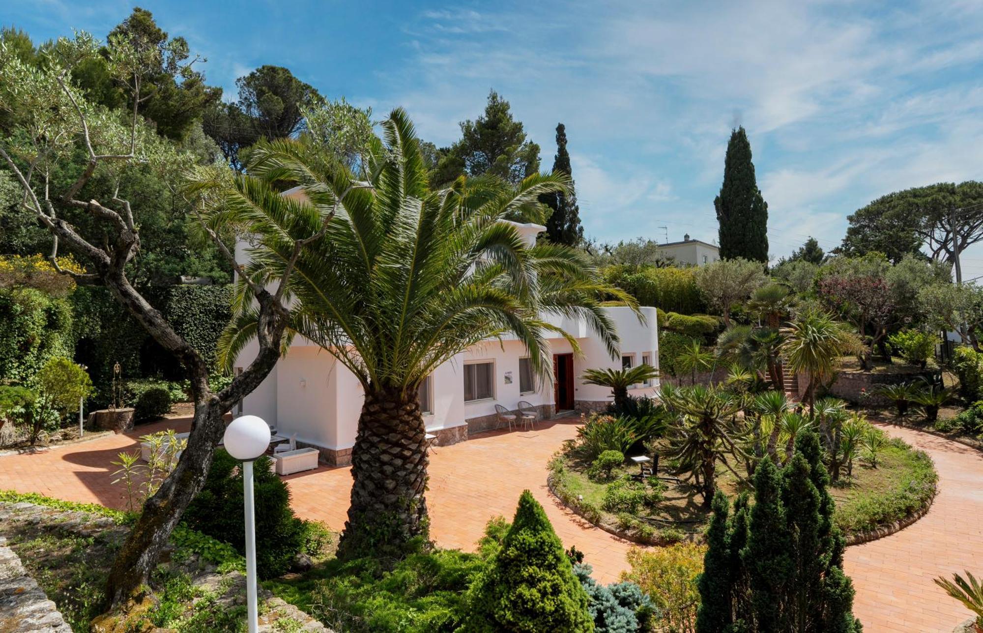 Villa Donna Carolina Capri Anacapri  Luaran gambar